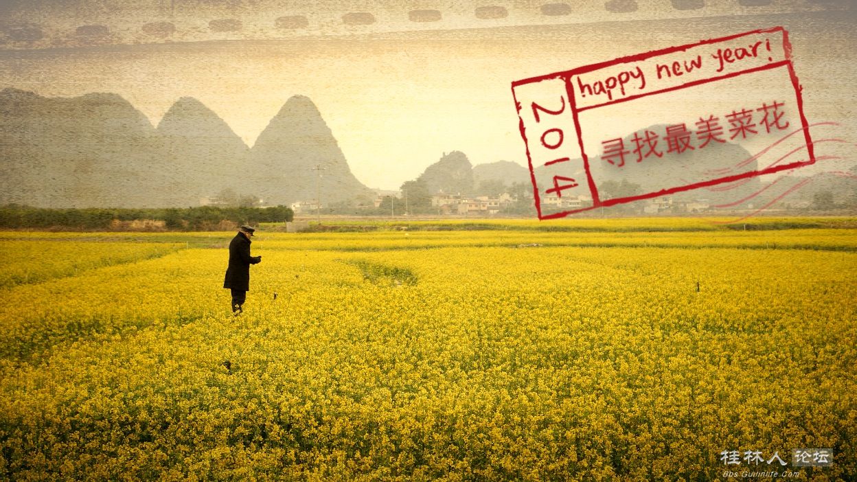 【发现探索之二】2014桂林最美油菜花观赏地最全攻略809 / 作者:訫懐梦想 / 帖子ID:100322