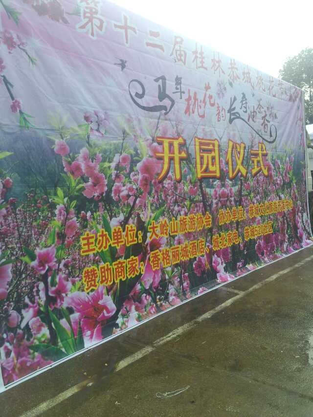 恭城桃花节万亩桃园今日对游客开放205 / 作者:穷人 / 帖子ID:100365
