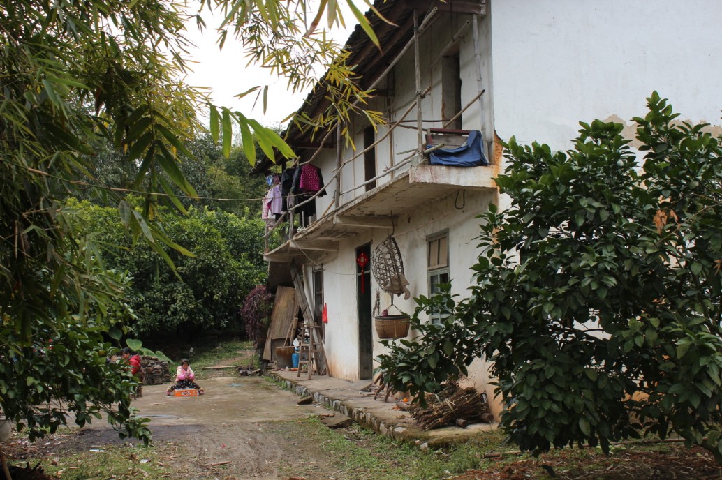 恭城平安涧山派赖年掠影138 / 作者:箩筐索 / 帖子ID:100363