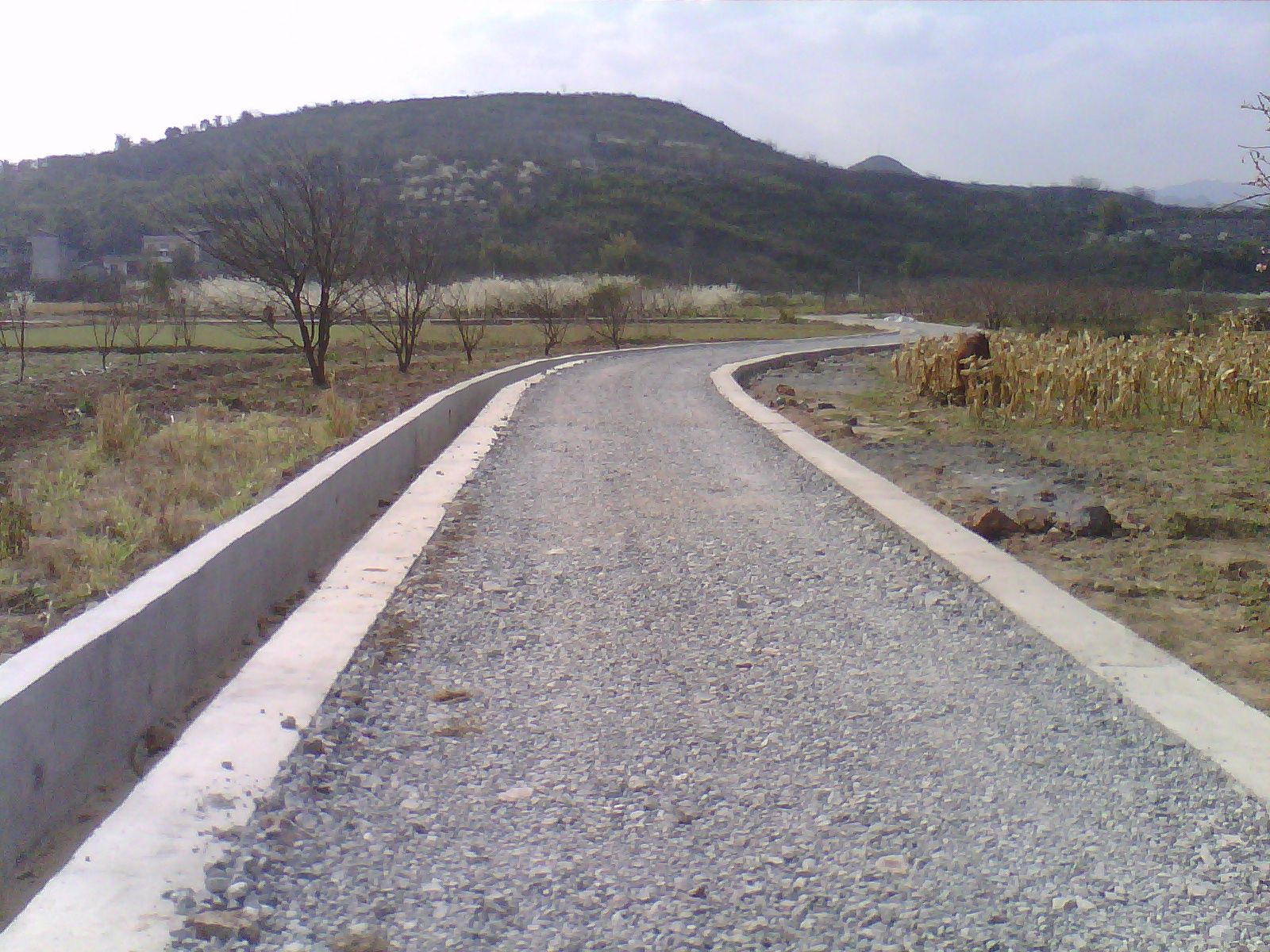 处理大事－＿－诚征各种见意　760 / 作者:风狂一世 / 帖子ID:100465