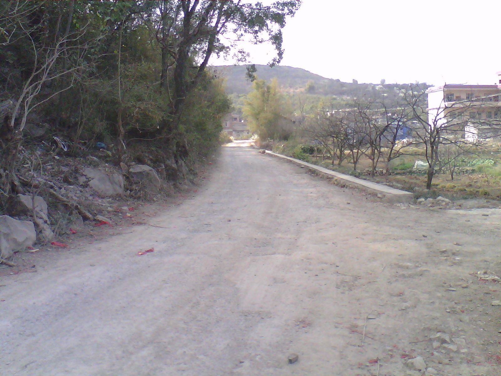 处理大事－＿－诚征各种见意　786 / 作者:风狂一世 / 帖子ID:100465