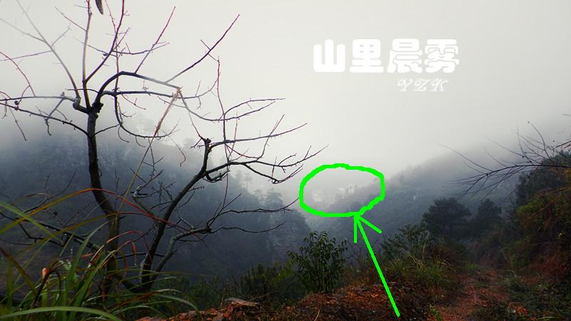 山里晨雾183 / 作者:平安大叔 / 帖子ID:100534