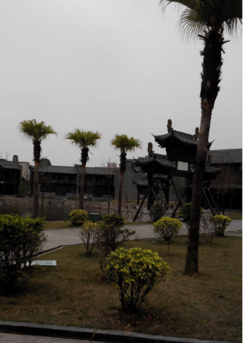 香市影视城378 / 作者:恭城人66 / 帖子ID:100621