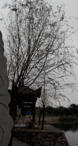 香市影视城913 / 作者:恭城人66 / 帖子ID:100621