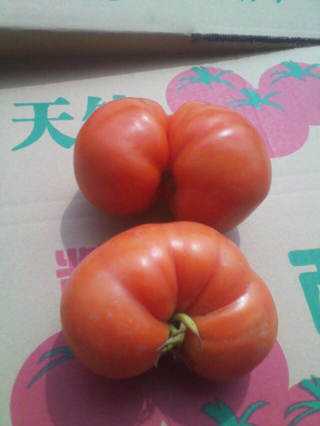 搞一车还想一车求合作伙伴479 / 作者:山寨.哥 / 帖子ID:100650