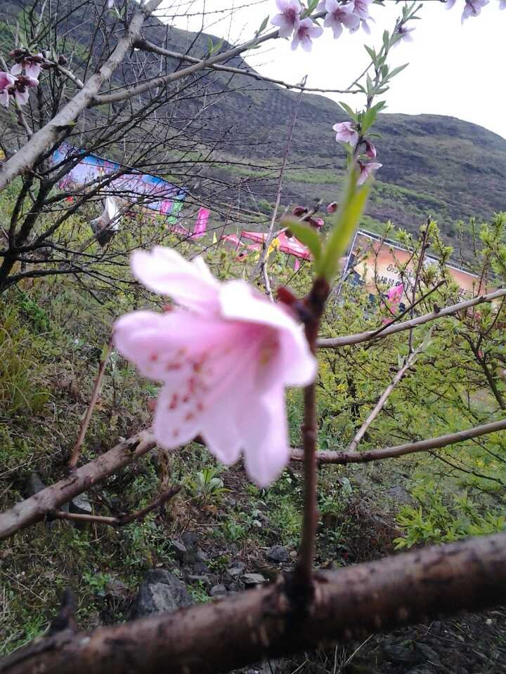 桂林恭城爱心群2014年3月8日大岭山爱心活动花絮（实时更新）747 / 作者:半指温柔沙 / 帖子ID:100666