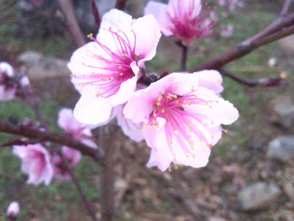 桂林恭城爱心群2014年3月8日大岭山爱心活动花絮（实时更新）192 / 作者:半指温柔沙 / 帖子ID:100666