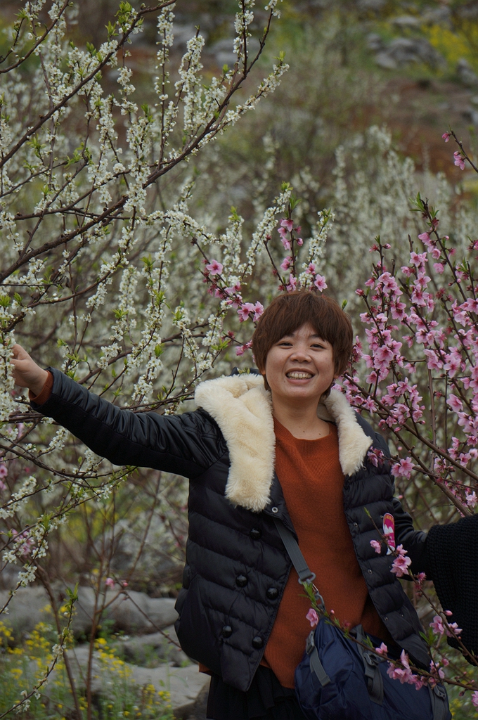 “桂林深处恭城美、桃花山上群英会”---2014恭城桃花节露营活动圆满结束~737 / 作者:社区小编 / 帖子ID:100684