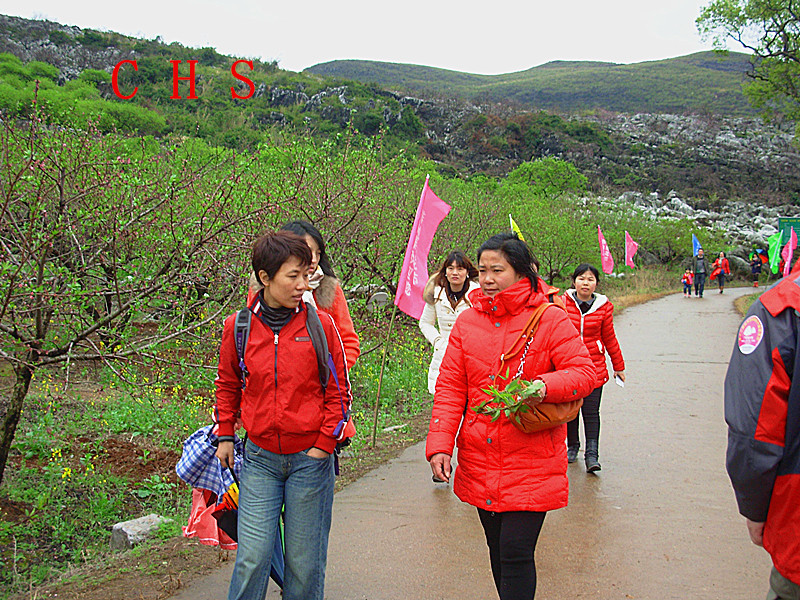 “桂林深处恭城美、桃花山上群英会”---2014恭城桃花节露营活动圆满结束~855 / 作者:瑶乡看兰 / 帖子ID:100684