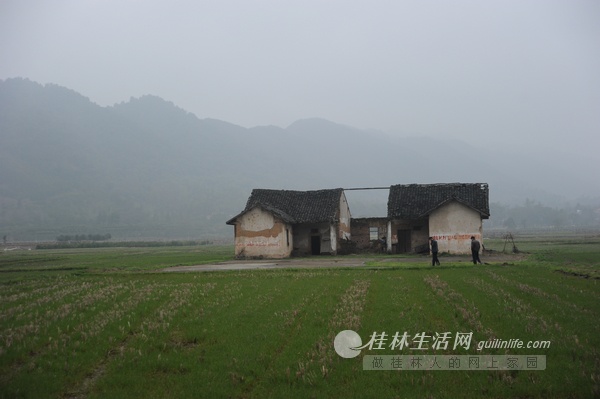 桂林3.3宝马女车主被杀案案情披露714 / 作者:訫懐梦想 / 帖子ID:100741