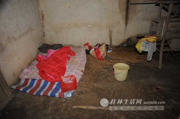 桂林3.3宝马女车主被杀案案情披露606 / 作者:訫懐梦想 / 帖子ID:100741