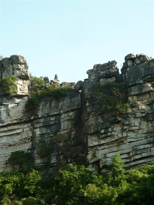 西岭乡下宋村：百亩油菜花迎春盛开597 / 作者:素颜 / 帖子ID:100812
