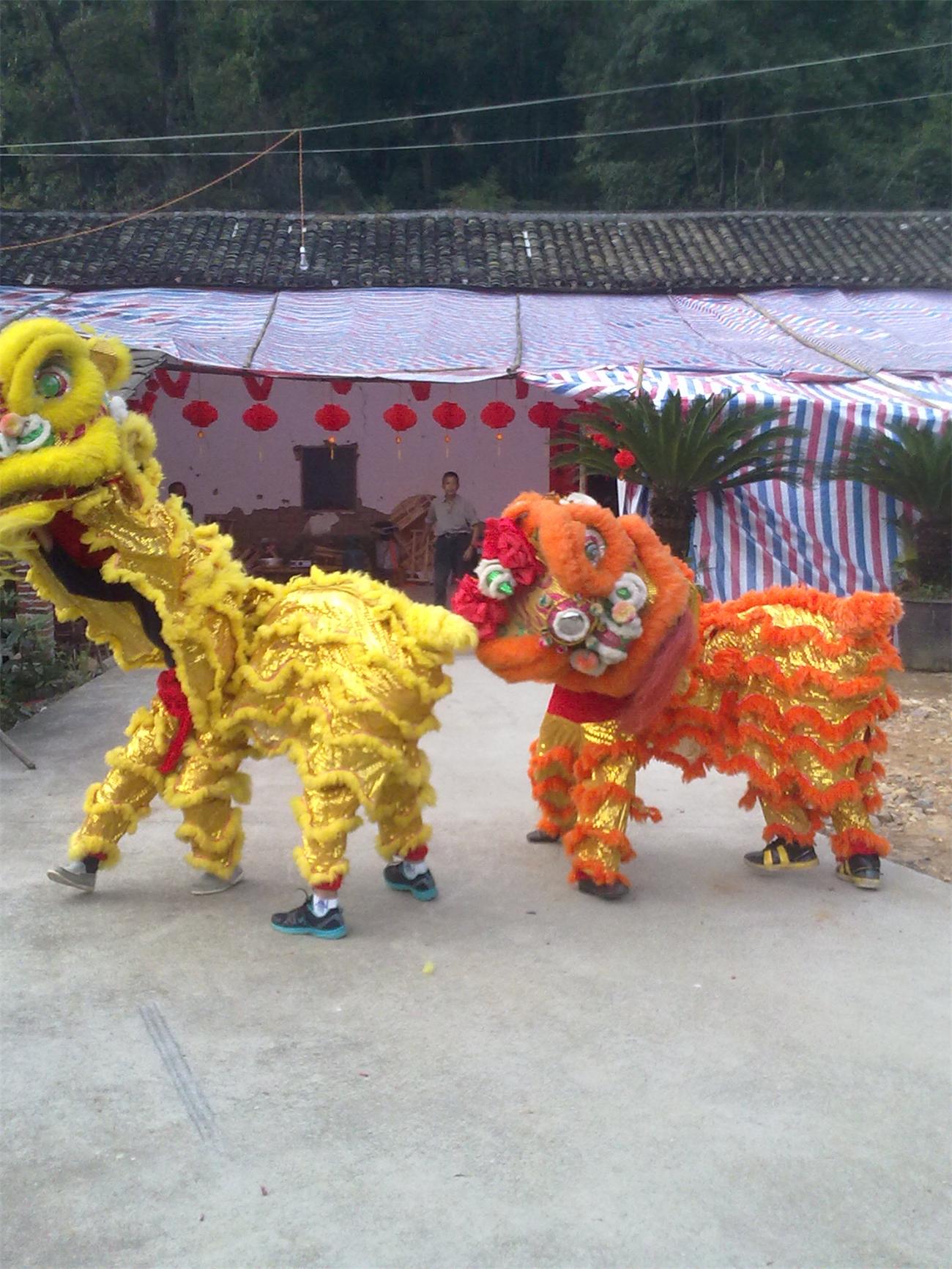 十几年前小有名气的--恭城巨塘舞狮队285 / 作者:訫懐梦想 / 帖子ID:100904