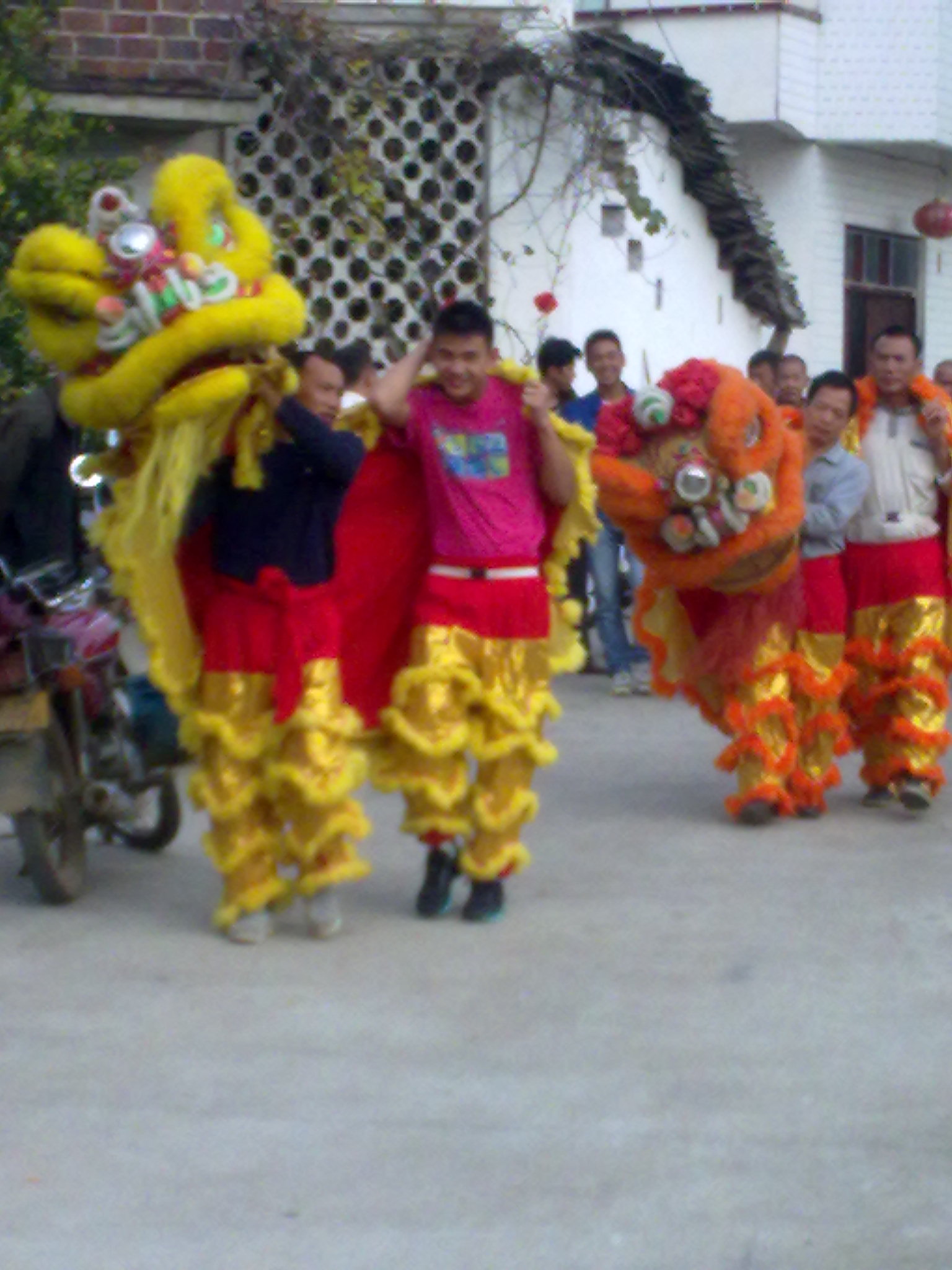 十几年前小有名气的--恭城巨塘舞狮队423 / 作者:訫懐梦想 / 帖子ID:100904