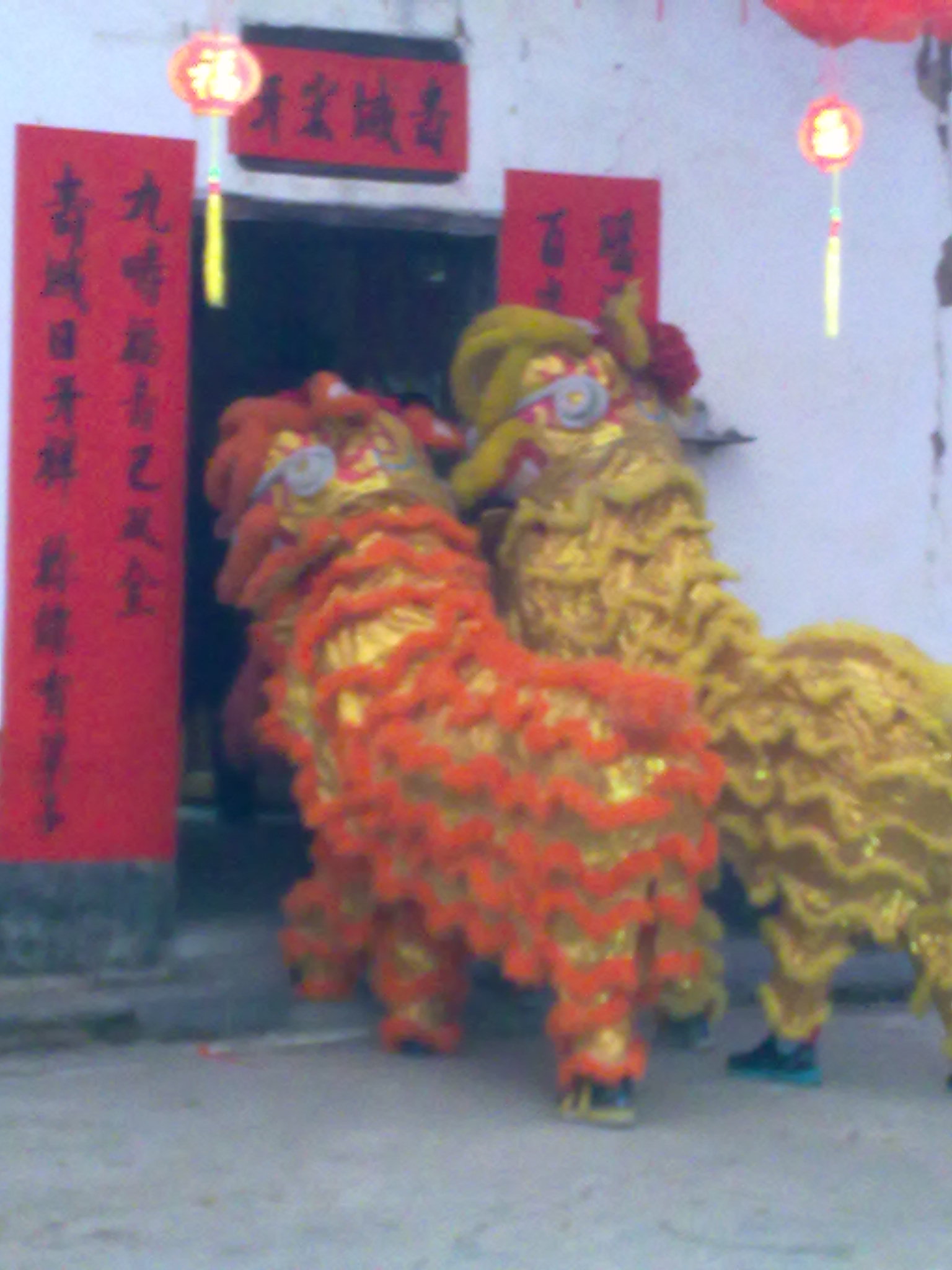 十几年前小有名气的--恭城巨塘舞狮队823 / 作者:訫懐梦想 / 帖子ID:100904