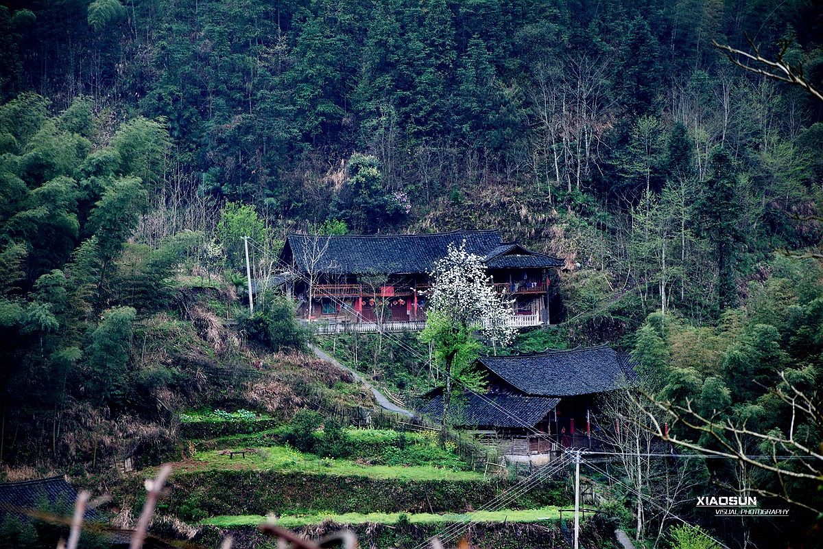 桂北山村913 / 作者:与孤独共舞 / 帖子ID:101069