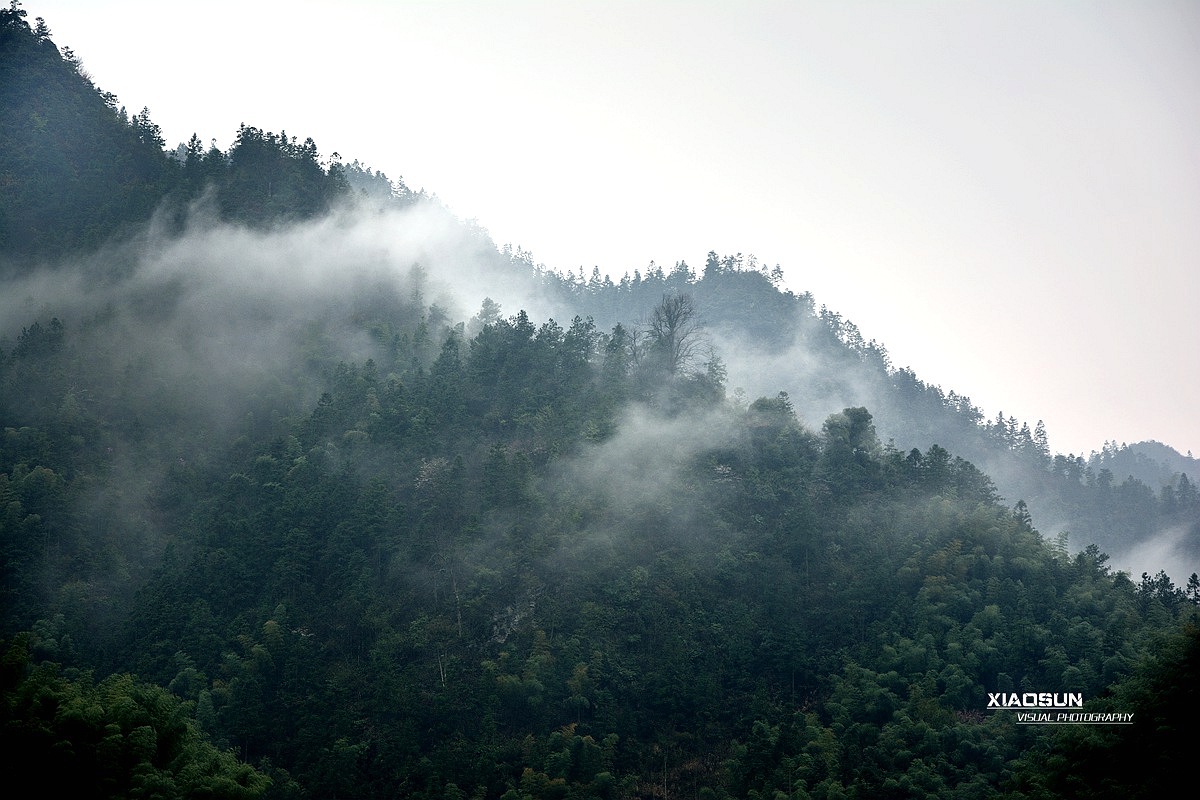 桂北山村311 / 作者:与孤独共舞 / 帖子ID:101069
