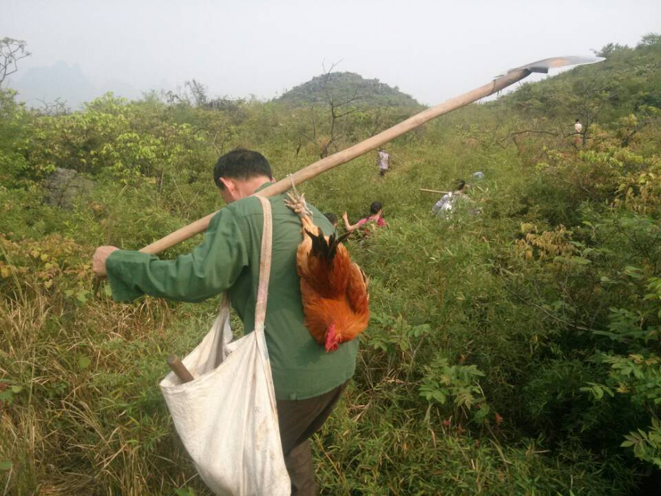 【清明到 人祭扫】恭城市民 清明节迎来上山扫墓高峰671 / 作者:椪柑 / 帖子ID:101098