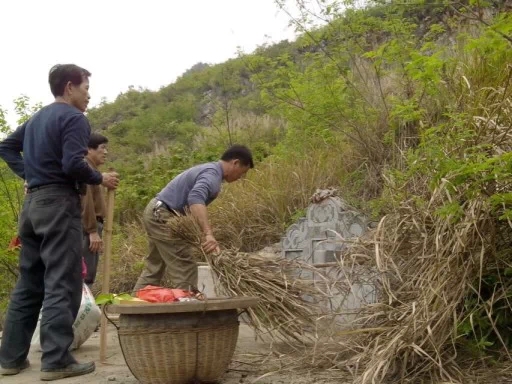 【清明到 人祭扫】恭城市民 清明节迎来上山扫墓高峰555 / 作者:椪柑 / 帖子ID:101098