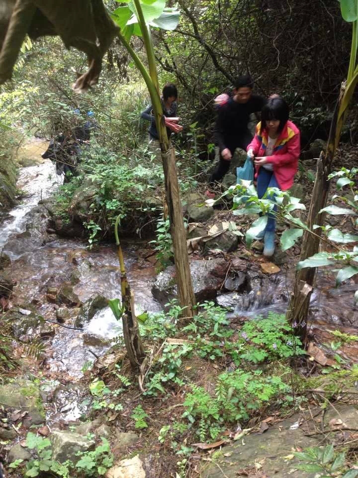 【清明到 人祭扫】恭城市民 清明节迎来上山扫墓高峰371 / 作者:椪柑 / 帖子ID:101098