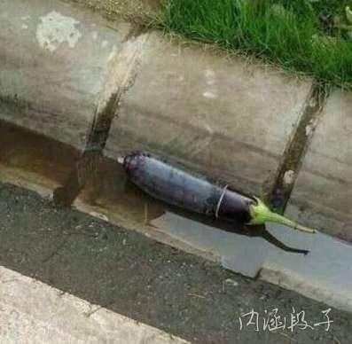 莫让时光，负了我们一季青春年华350 / 作者:穷人 / 帖子ID:101010