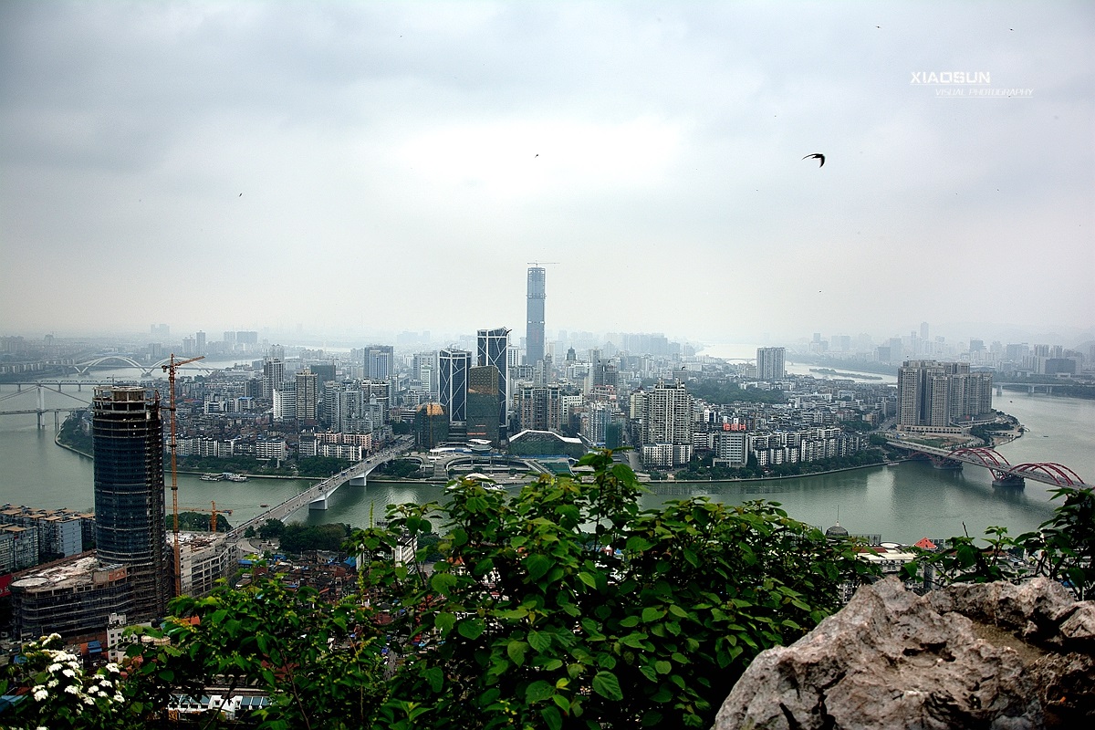 马鞍山顶看柳州285 / 作者:与孤独共舞 / 帖子ID:101311