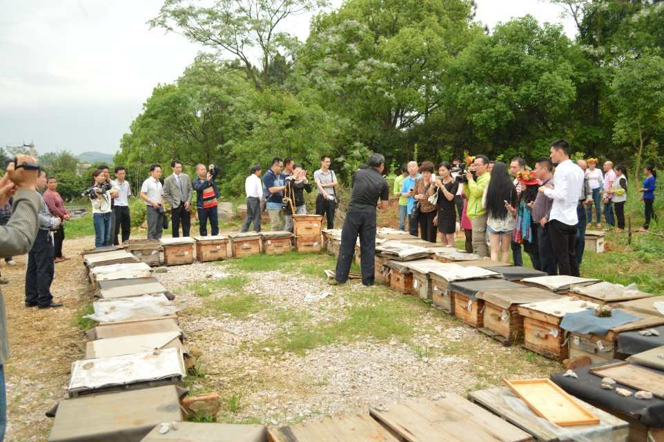 2014年4月25日晚上十点广西卫视《第一书记》播的就是我家蜜蜂，希望大家关注885 / 作者:@@@@@@ / 帖子ID:101507
