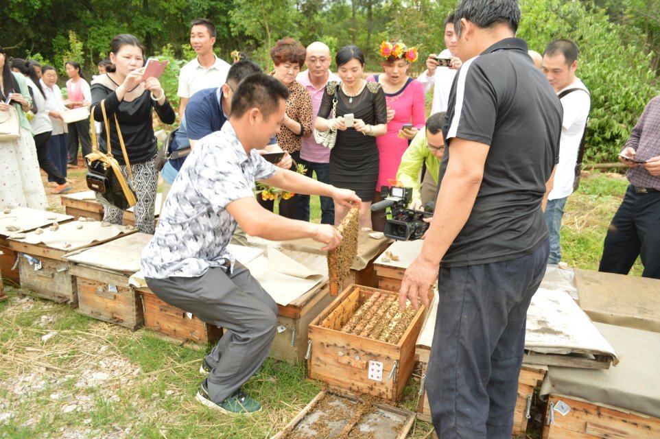 2014年4月25日晚上十点广西卫视《第一书记》播的就是我家蜜蜂，希望大家关注998 / 作者:@@@@@@ / 帖子ID:101507