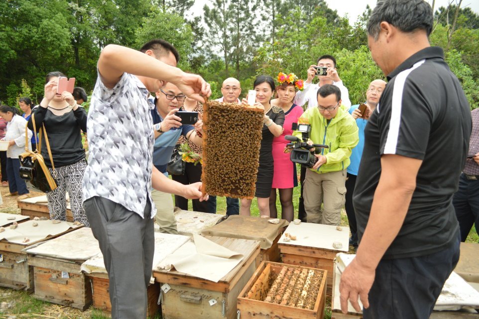 2014年4月25日晚上十点广西卫视《第一书记》播的就是我家蜜蜂，希望大家关注664 / 作者:@@@@@@ / 帖子ID:101507
