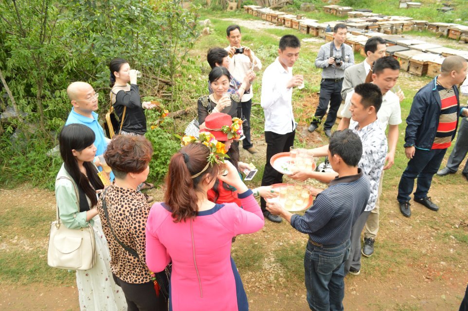 2014年4月25日晚上十点广西卫视《第一书记》播的就是我家蜜蜂，希望大家关注706 / 作者:@@@@@@ / 帖子ID:101507