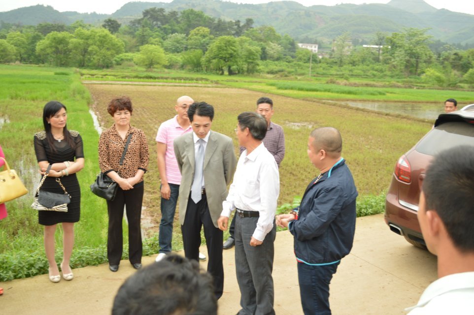 2014年4月25日晚上十点广西卫视《第一书记》播的就是我家蜜蜂，希望大家关注38 / 作者:@@@@@@ / 帖子ID:101507