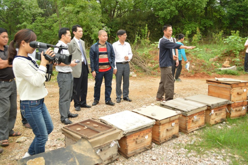 2014年4月25日晚上十点广西卫视《第一书记》播的就是我家蜜蜂，希望大家关注850 / 作者:@@@@@@ / 帖子ID:101507