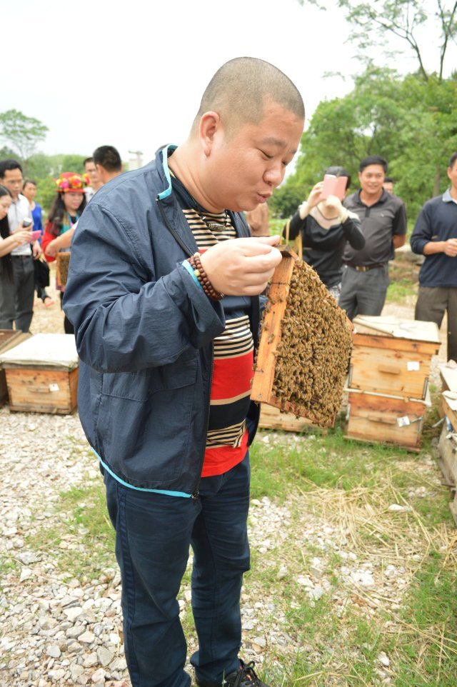 2014年4月25日晚上十点广西卫视《第一书记》播的就是我家蜜蜂，希望大家关注845 / 作者:@@@@@@ / 帖子ID:101507