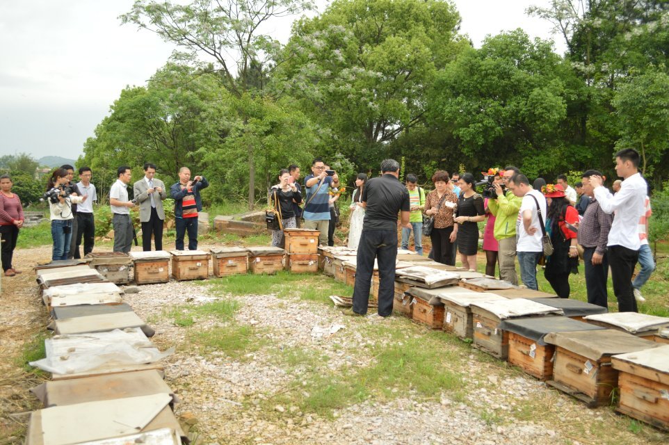 2014年4月25日晚上十点广西卫视《第一书记》播的就是我家蜜蜂，希望大家关注433 / 作者:@@@@@@ / 帖子ID:101507