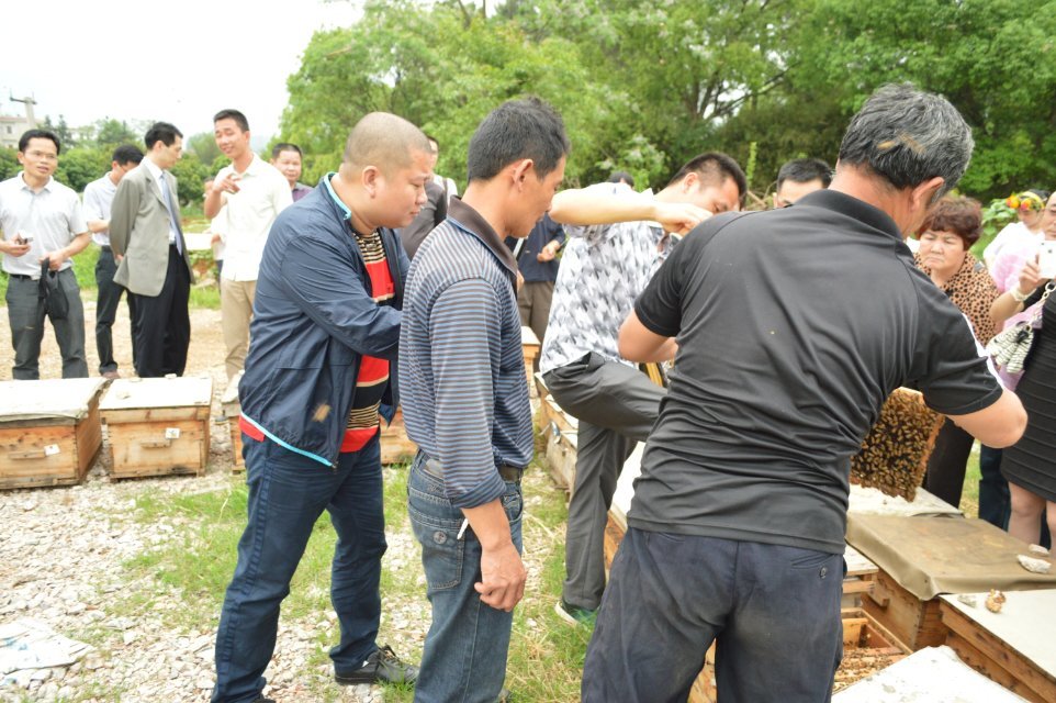 2014年4月25日晚上十点广西卫视《第一书记》播的就是我家蜜蜂，希望大家关注80 / 作者:@@@@@@ / 帖子ID:101507