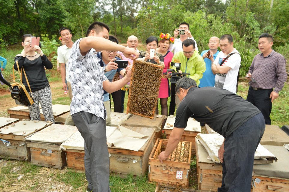 2014年4月25日晚上十点广西卫视《第一书记》播的就是我家蜜蜂，希望大家关注709 / 作者:@@@@@@ / 帖子ID:101507