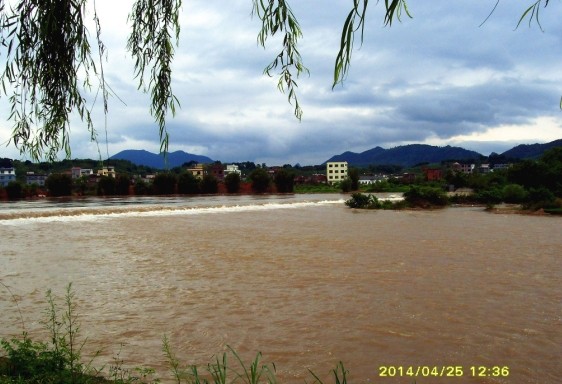 刚刚在群里面看网友发图片，茶江涨水了368 / 作者:流口水的兔子 / 帖子ID:101539