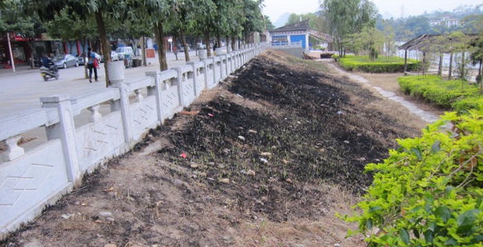 从“蔬菜贵过猪肉”浅析恭城农业现状3 / 作者:北辰 / 帖子ID:101591