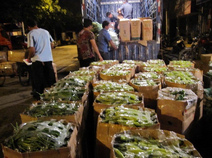 从“蔬菜贵过猪肉”浅析恭城农业现状125 / 作者:北辰 / 帖子ID:101591