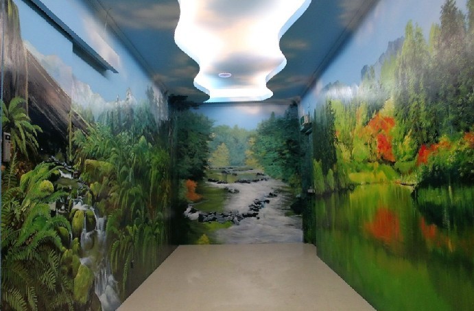 【一群手绘达人： 即将举办艺术墙绘展（3D彩绘）壁画展】】】708 / 作者:原来的那个点 / 帖子ID:101604