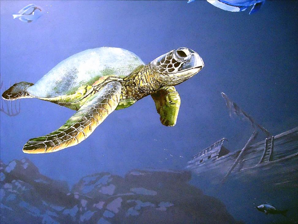 【一群手绘达人： 即将举办艺术墙绘展（3D彩绘）壁画展】】】498 / 作者:原来的那个点 / 帖子ID:101604