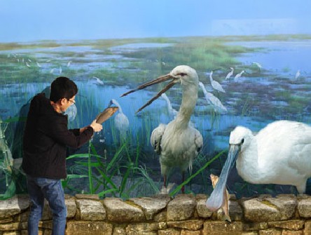 【一群手绘达人： 即将举办艺术墙绘展（3D彩绘）壁画展】】】705 / 作者:原来的那个点 / 帖子ID:101604