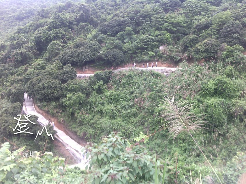再次踏上羊台山118 / 作者:←￠华◥眚☆ / 帖子ID:101642