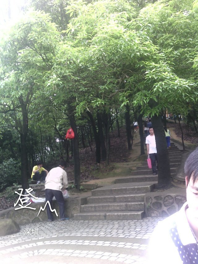 再次踏上羊台山172 / 作者:←￠华◥眚☆ / 帖子ID:101642