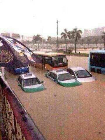 这暴雨下得太猛了吧.790 / 作者:罗少爷 / 帖子ID:101835