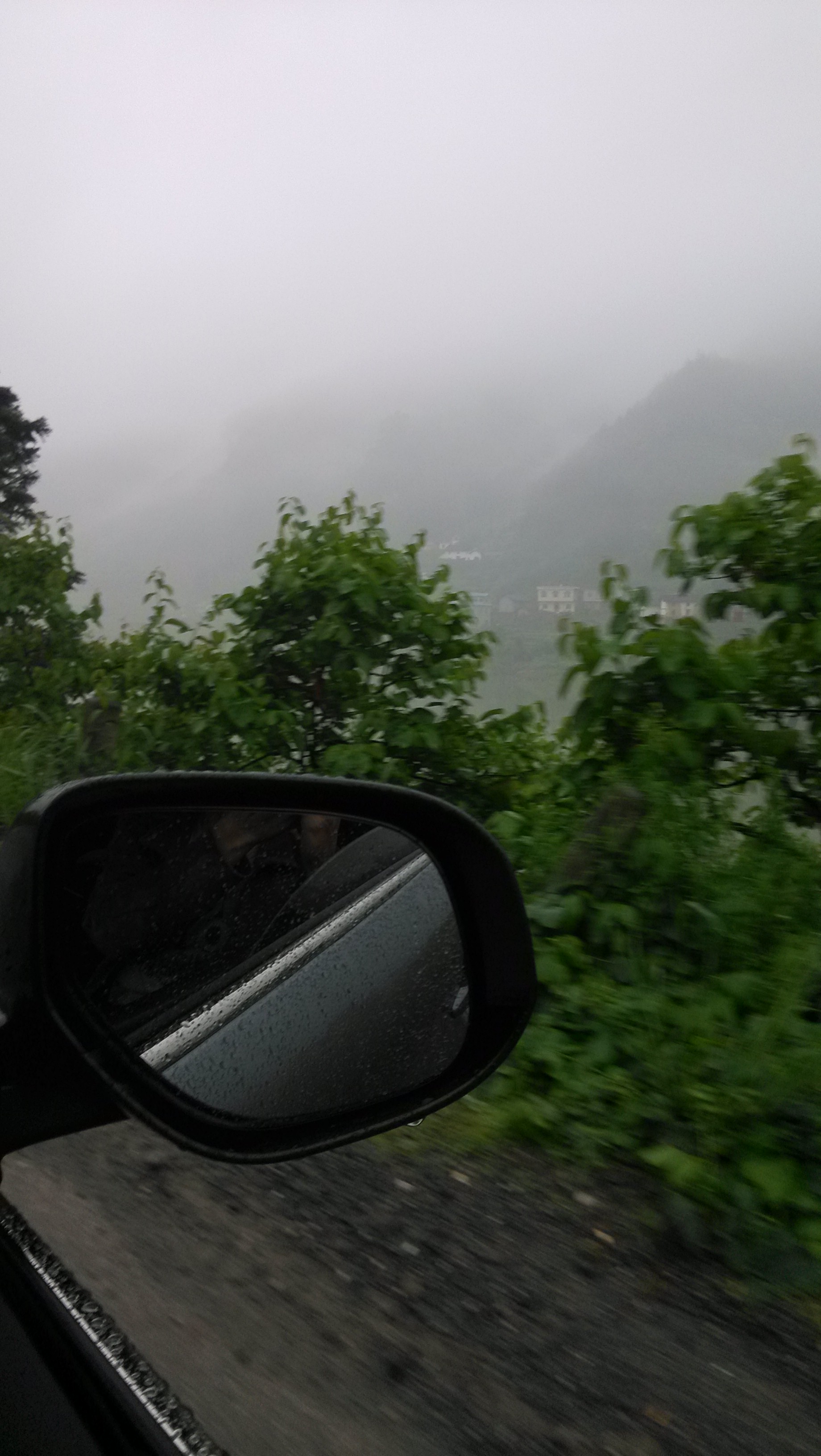 烟雨峻山行427 / 作者:钱是今生 / 帖子ID:101836