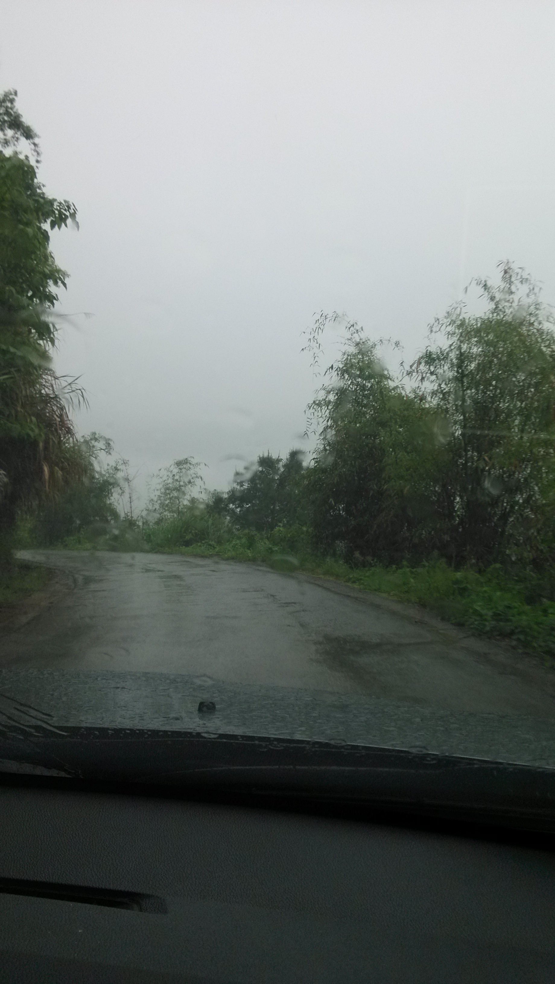烟雨峻山行568 / 作者:钱是今生 / 帖子ID:101836