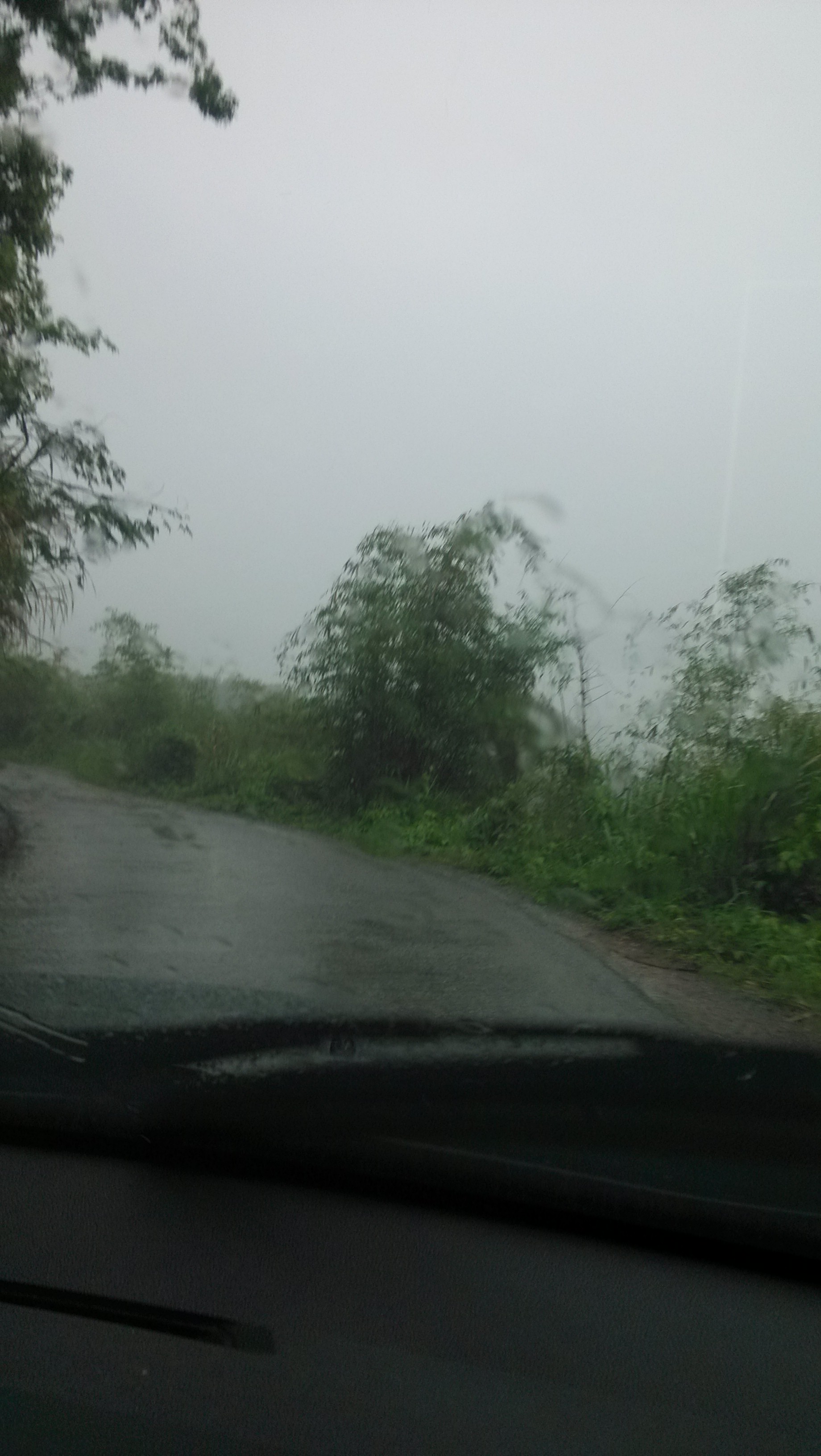 烟雨峻山行164 / 作者:钱是今生 / 帖子ID:101836