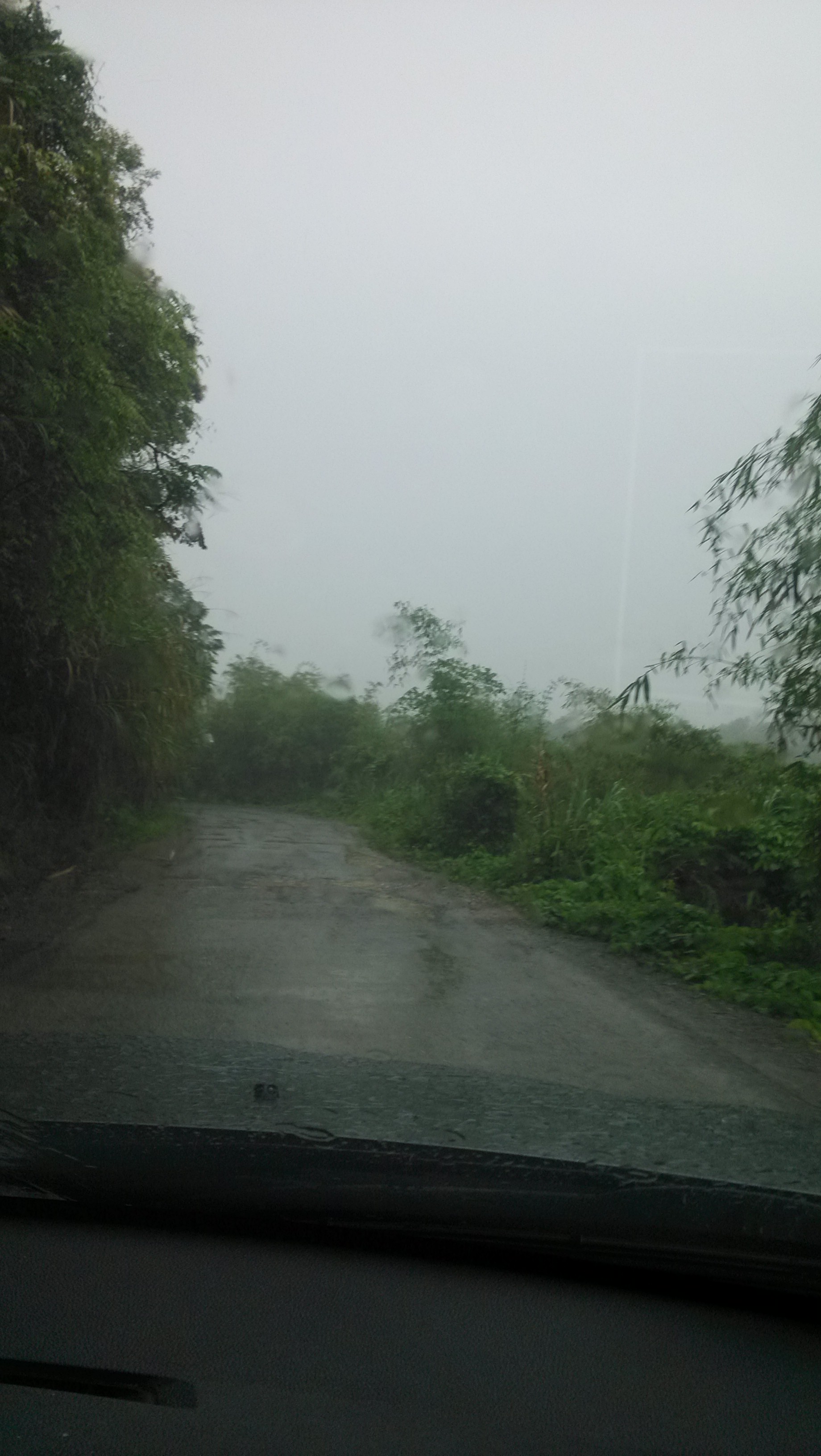 烟雨峻山行235 / 作者:钱是今生 / 帖子ID:101836