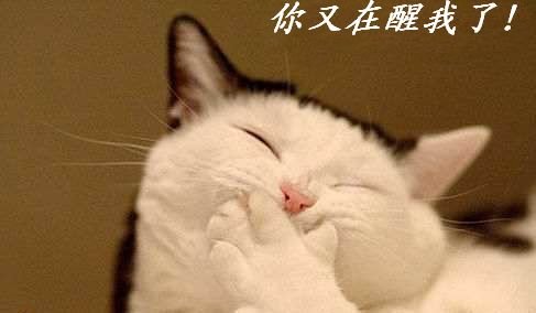 大家快来看一看，瞧一瞧520 / 作者:爱迩美全屋定制 / 帖子ID:101832